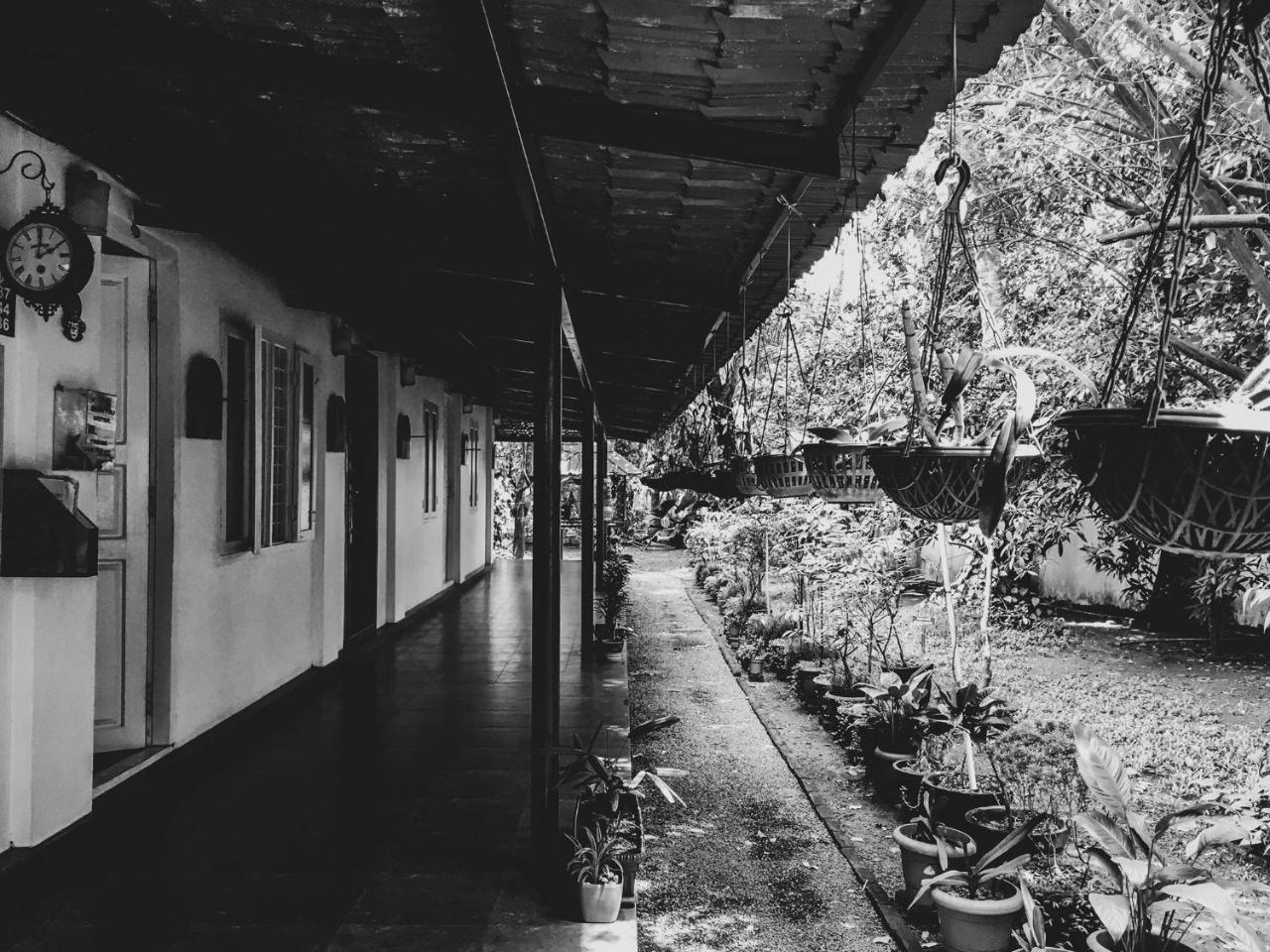 Palm Grove Service Villa Kochi Exterior photo