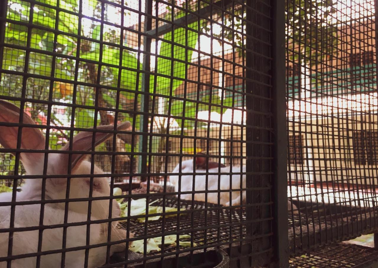 Palm Grove Service Villa Kochi Exterior photo