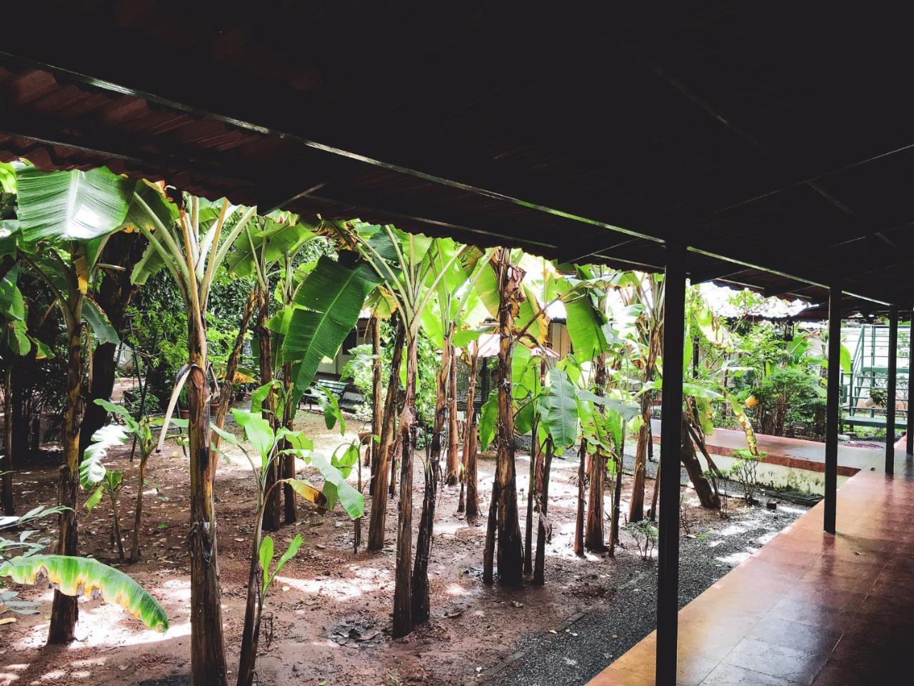 Palm Grove Service Villa Kochi Exterior photo