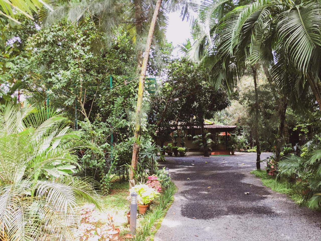 Palm Grove Service Villa Kochi Exterior photo
