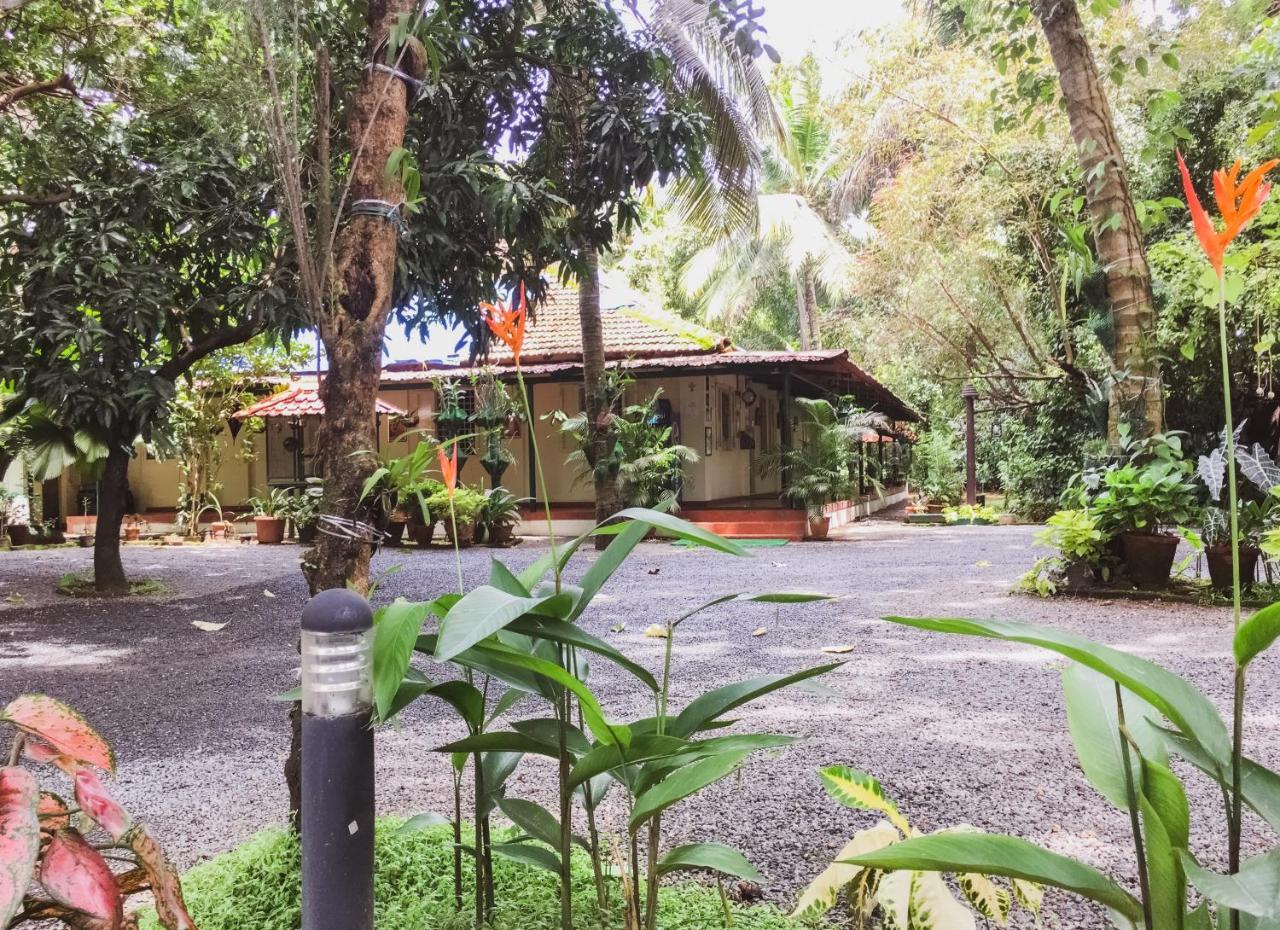 Palm Grove Service Villa Kochi Exterior photo
